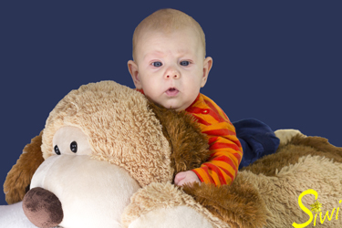 Jannis, 3 Monate jung, auf dem großen Plüschhund