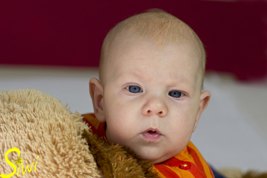 Jannis, 3 Monate jung, ganz aufmerksam