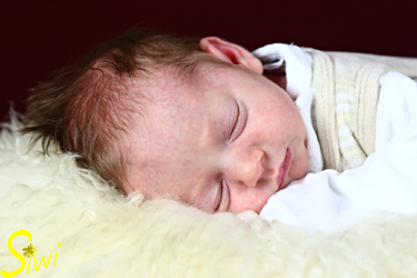 Fotografiert ruhig - ich schlaf weiter.