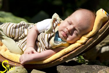 Mit 6 Wochen darf man schon mal seinen Fototermin verschlafen.