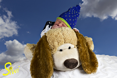 Oscar schlummert auf dem großen Hund.