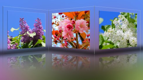 Frühling im Foto-Shop